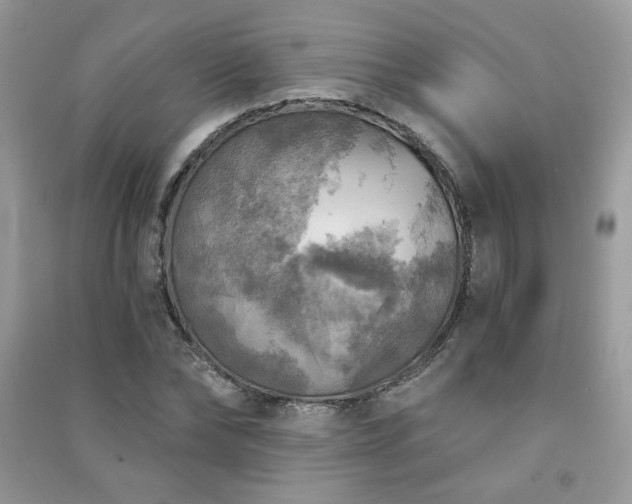 X0000091290878200708101244