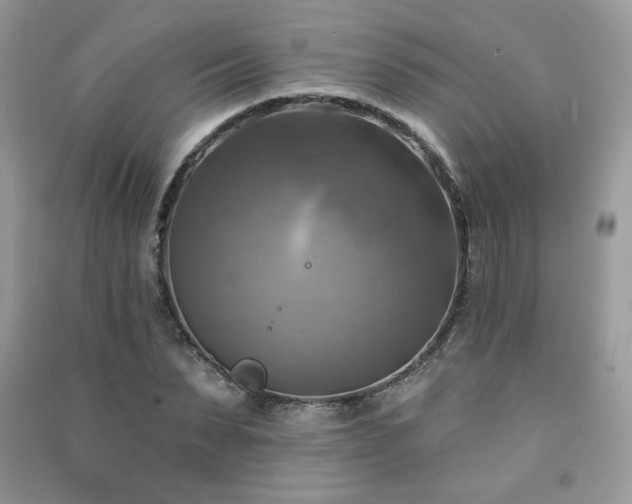 X0000091290879200708101244