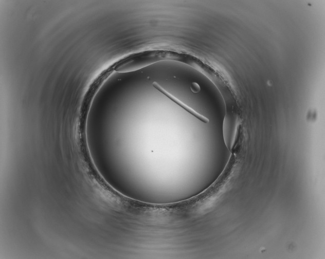 X0000091290880200708101244