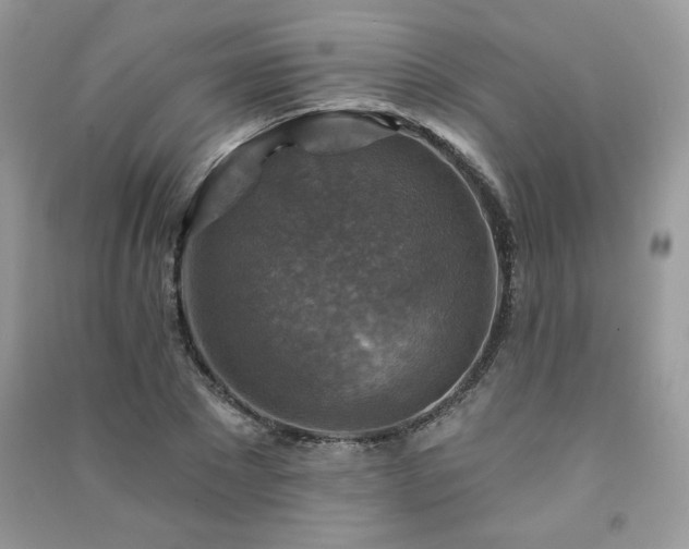 X0000091290881200708101244