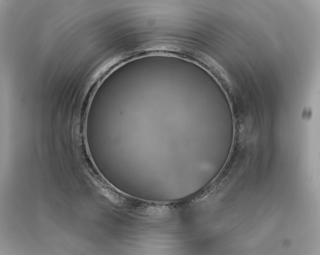 X0000091290882200708101244