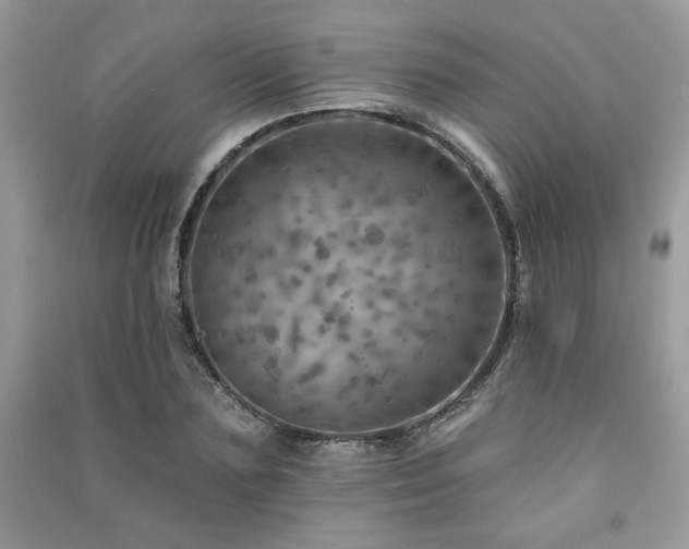 X0000091290883200708101244