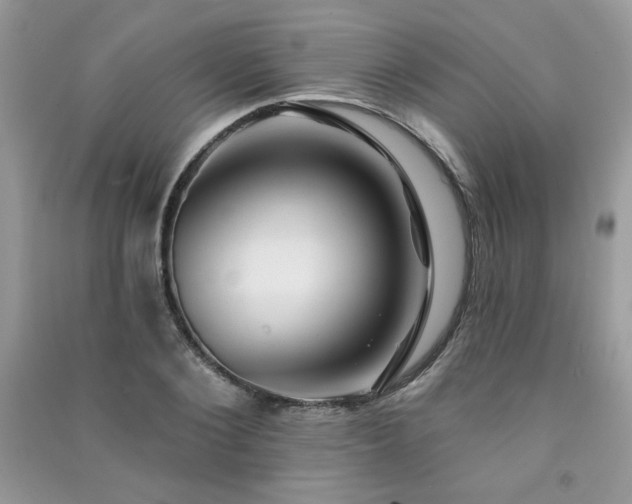 X0000091290884200708101244