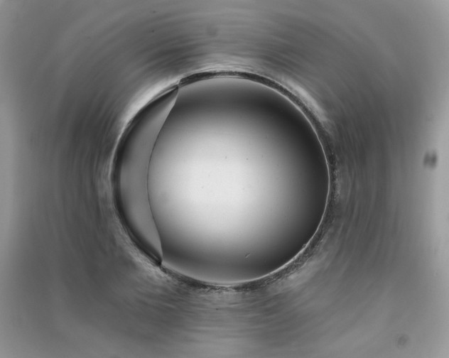 X0000091290885200708101244