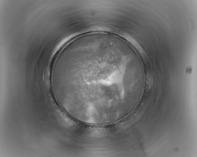 X0000091290886200708101244