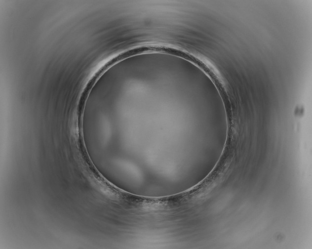 X0000091290887200708101244