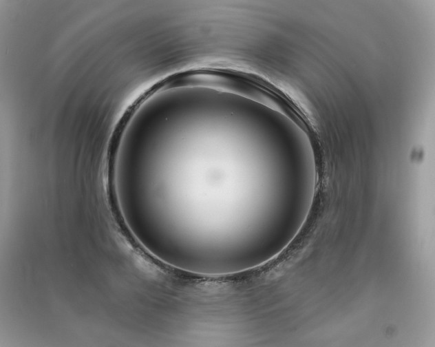 X0000091290888200708101244