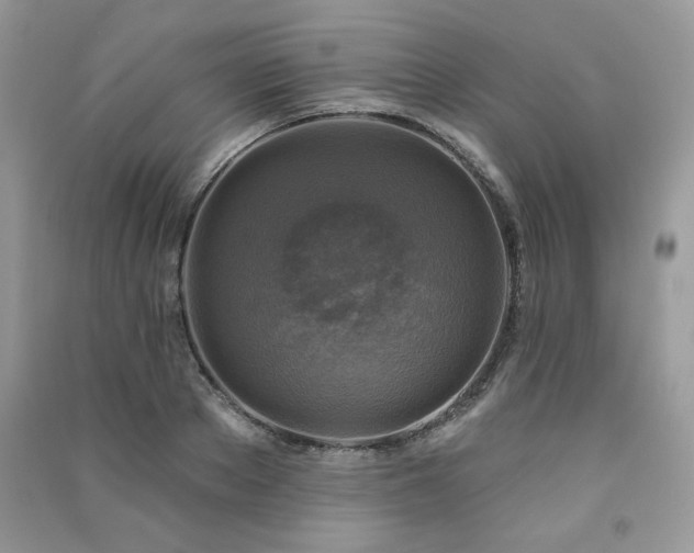 X0000091290889200708101244