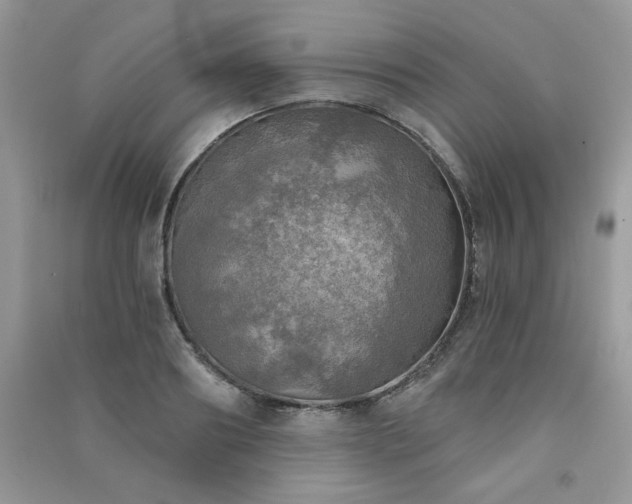 X0000091290890200708101244