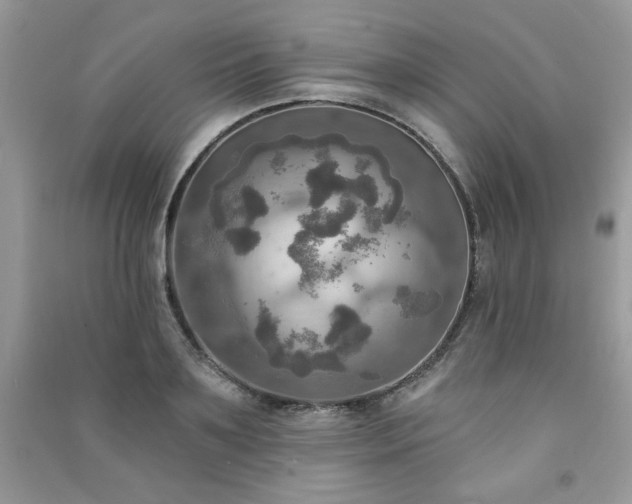 X0000091290891200708101244