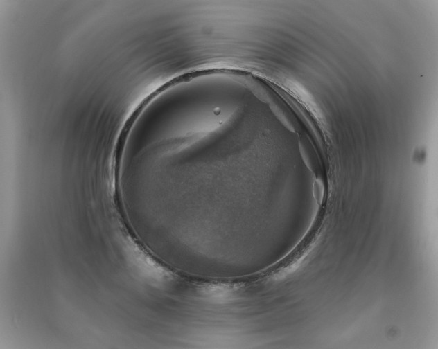 X0000091290892200708101244