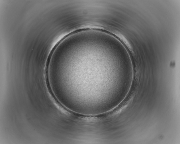 X0000091290893200708101244