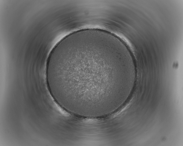 X0000091290894200708101244