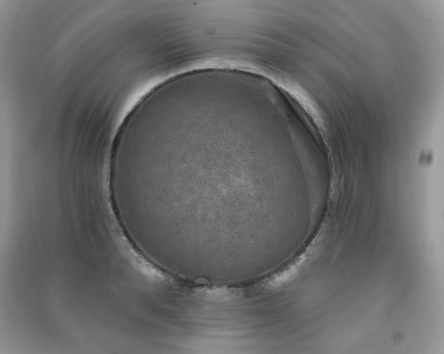 X0000091290896200708101244