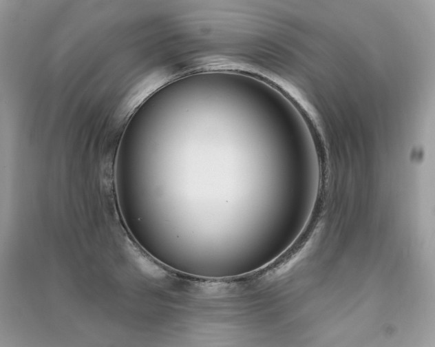 X0000091290897200708101244