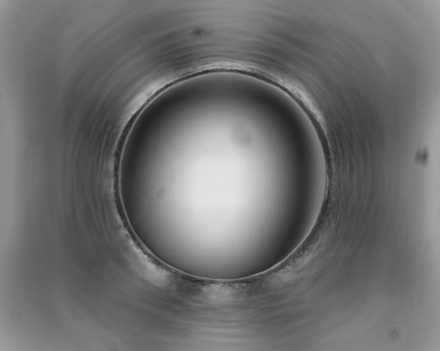 X0000091290898200708101244