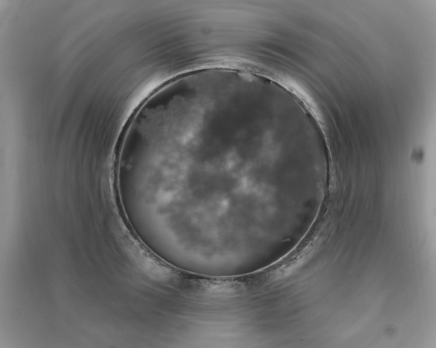 X0000091290899200708101244