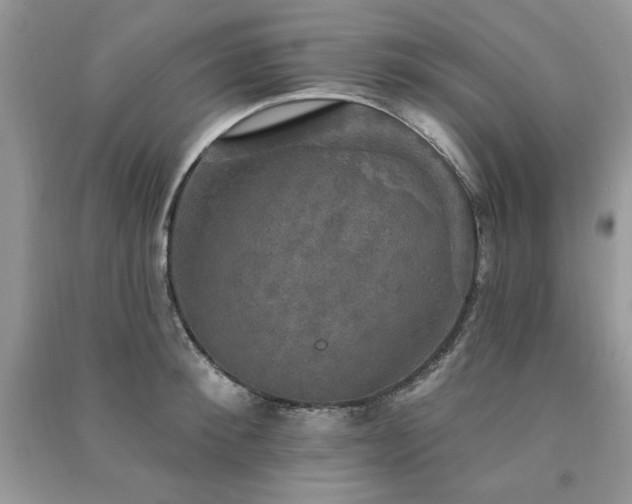 X0000091290900200708101244