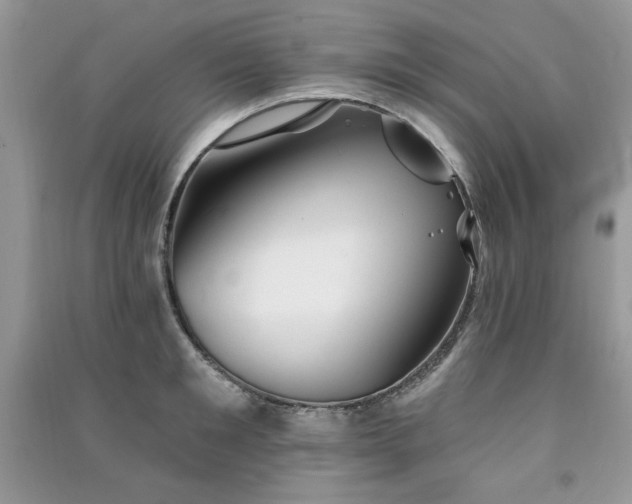 X0000091290901200708101244