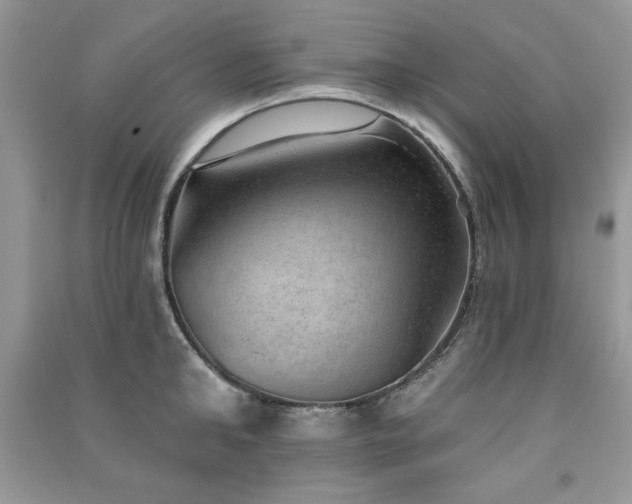 X0000091290902200708101243