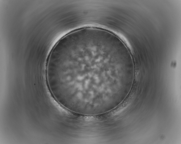 X0000091290903200708101243