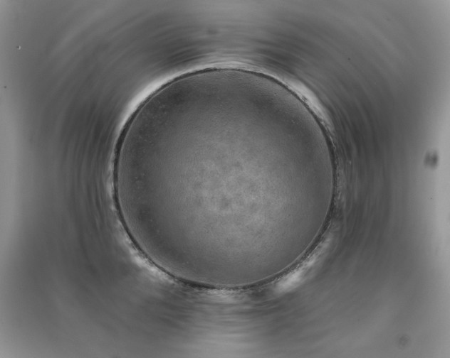 X0000091290904200708101243