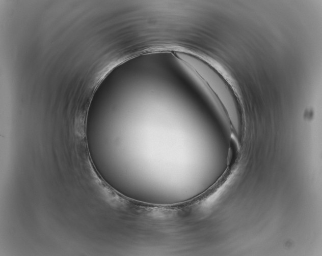 X0000091290905200708101243