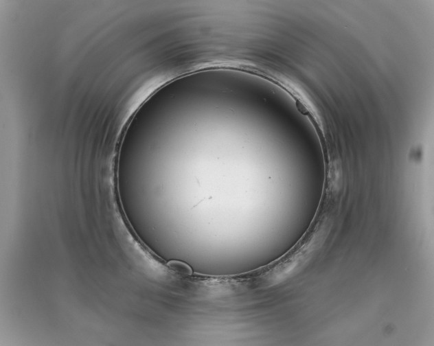 X0000091290906200708101243