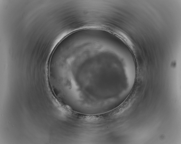 X0000091290907200708101243