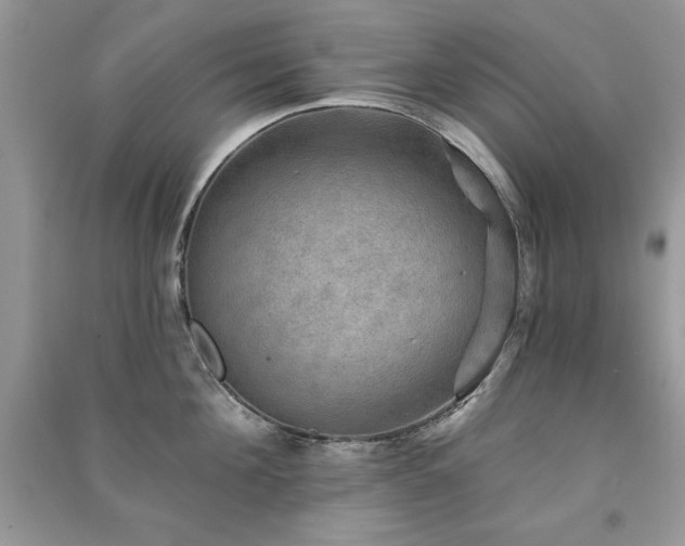 X0000091290908200708101243