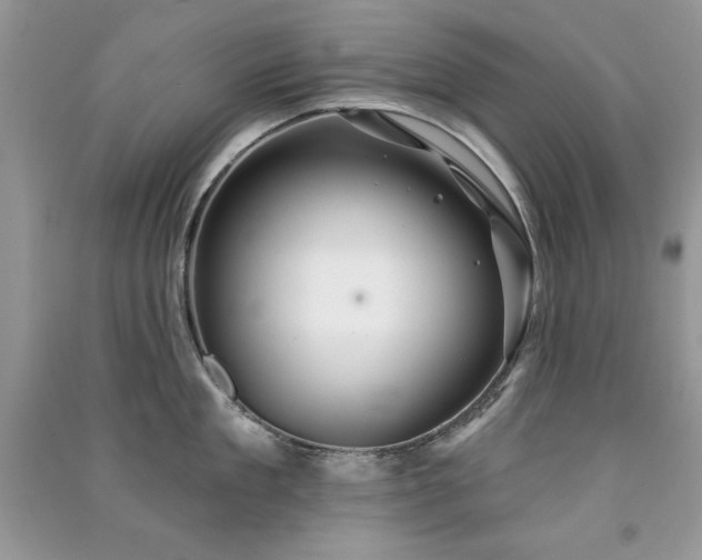 X0000091290909200708101243