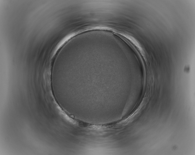 X0000091290910200708101243