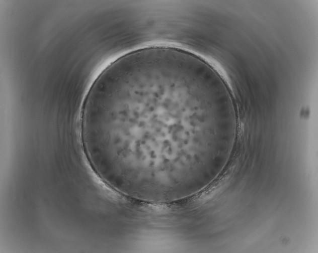 X0000091290911200708101243