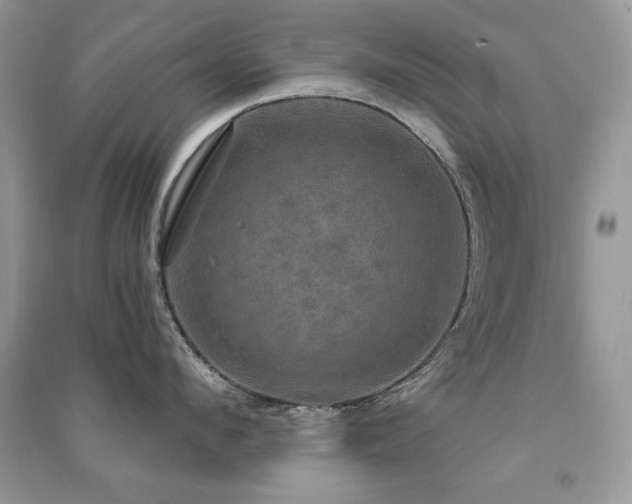 X0000091290912200708101243