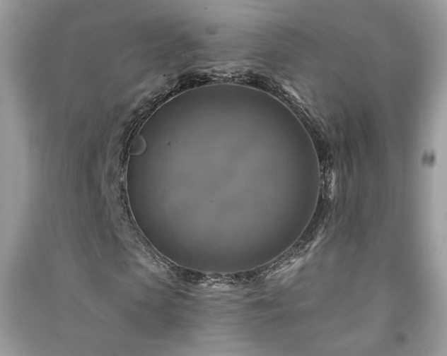 X0000091290913200708101243