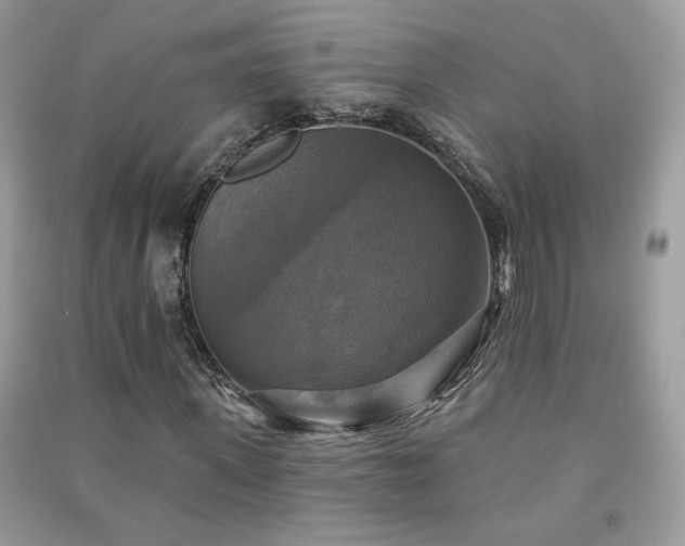 X0000091290915200708101243