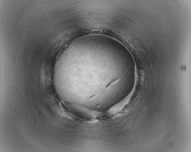 X0000091290916200708101243