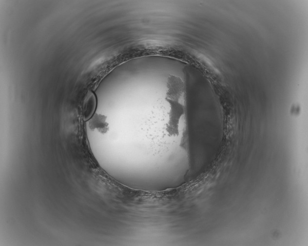 X0000091290917200708101243