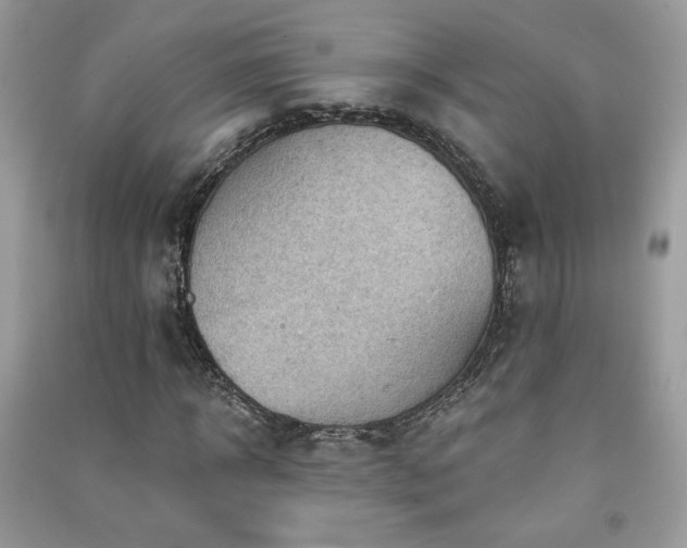 X0000091290918200708101243