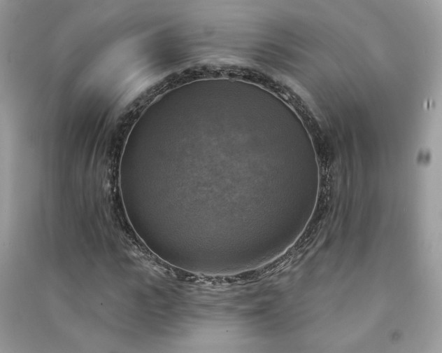 X0000091290919200708101243