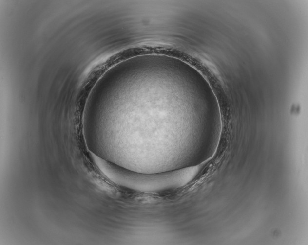 X0000091290920200708101243