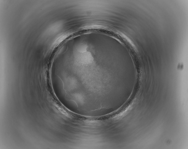 X0000091290921200708101243