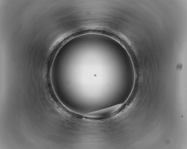 X0000091290922200708101243