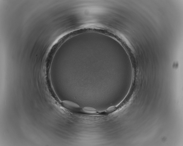 X0000091290923200708101243