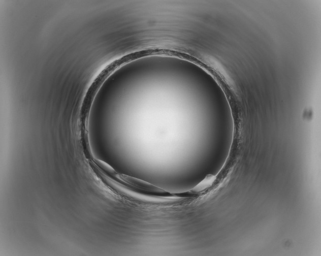 X0000091290924200708101243