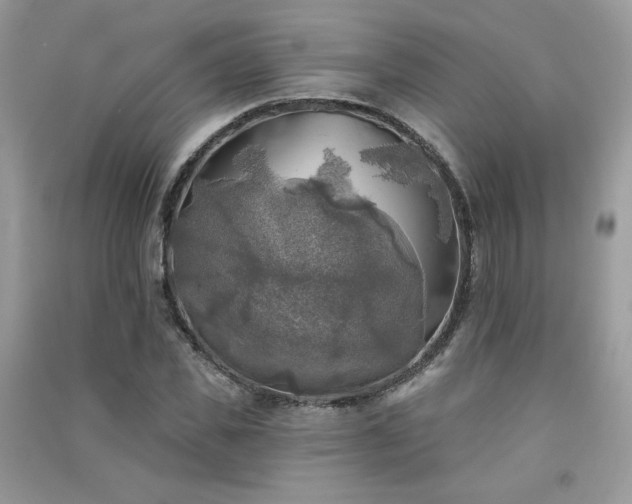 X0000091290925200708101243