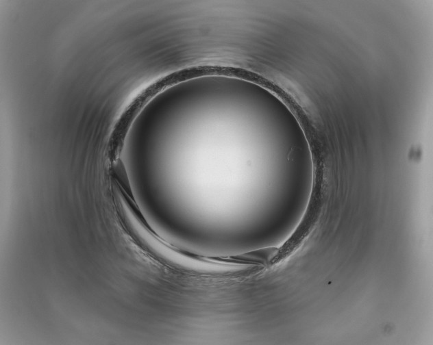 X0000091290926200708101243