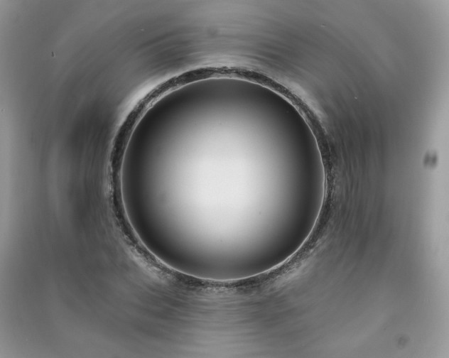 X0000091290927200708101243