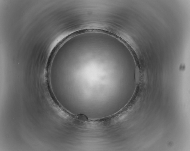 X0000091290928200708101243