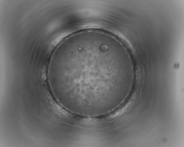 X0000091290929200708101243